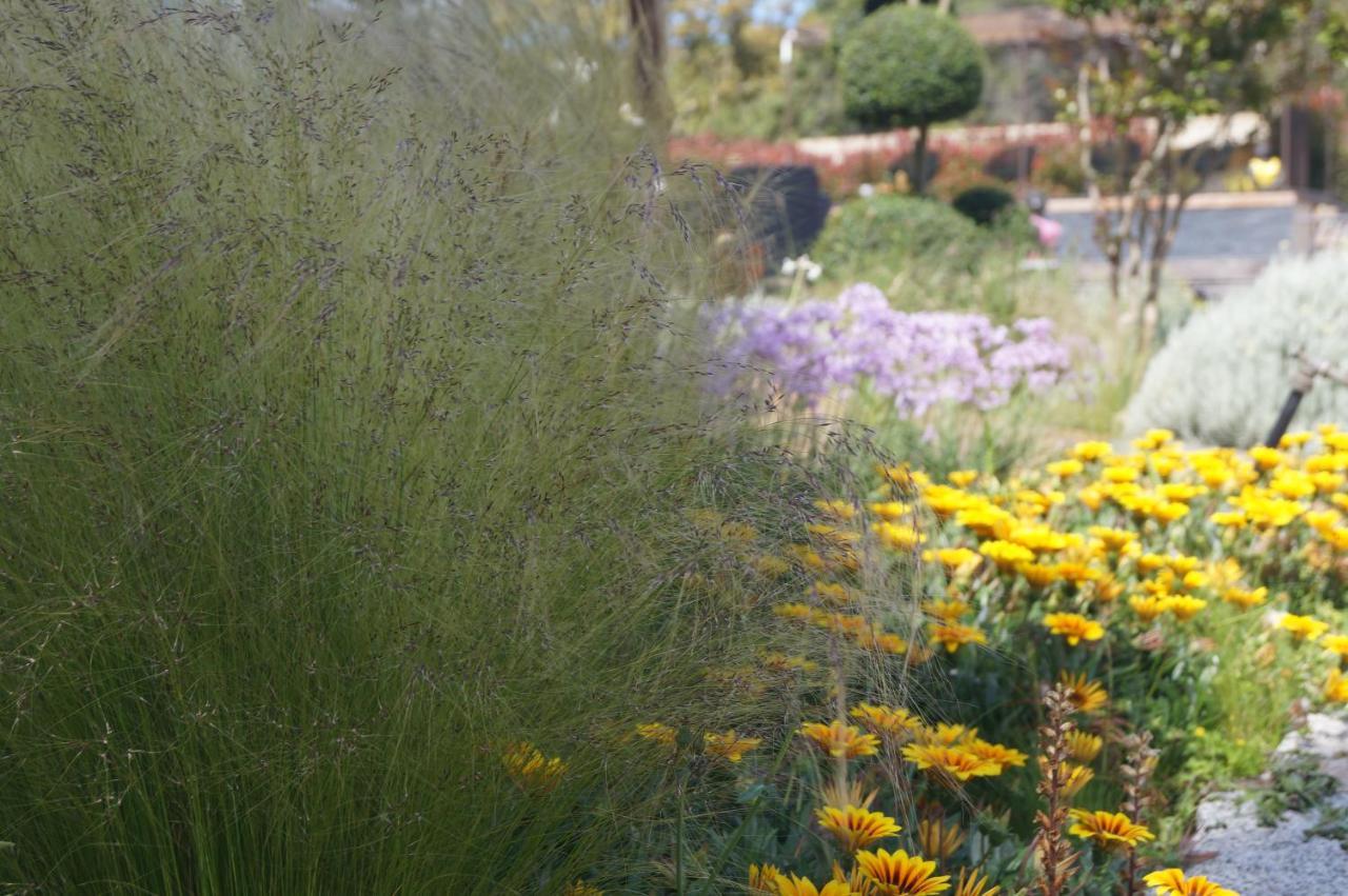 Les Jardins De Santa Giulia - Charmante chambre d'hôte 2 Porto-Vecchio  Extérieur photo